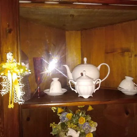 Homestay szállás A Casa Di Amelia Offida